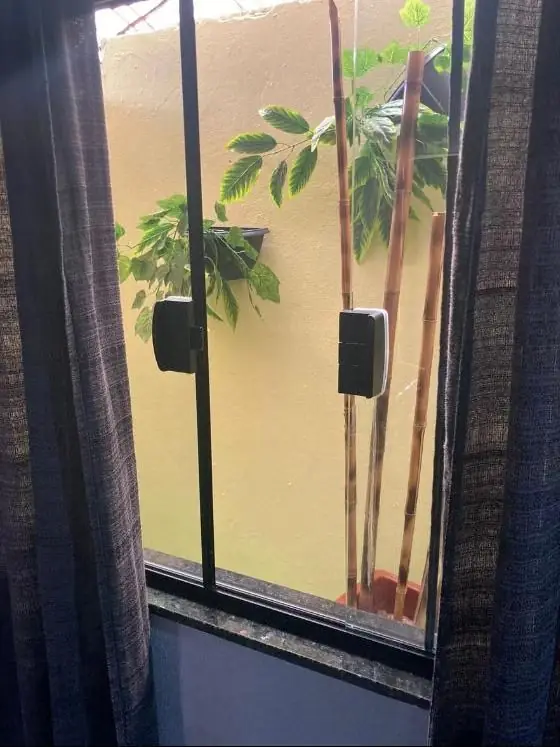 Simples — foto 4